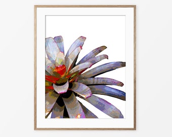 Bromeliad Print, Botanical Print, Tropical Art, Wall Decor, Contemporary Art, Bromeliad Poster, Bromeliad Photography, Purple Red, #105a