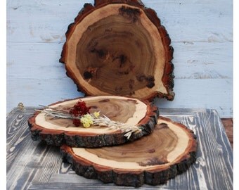 8-12" inches Wooden slices,wood slices,wood coasters,wood rounds,wood discs,9" 10" 11" wood slabs,tree slices,rustic slices