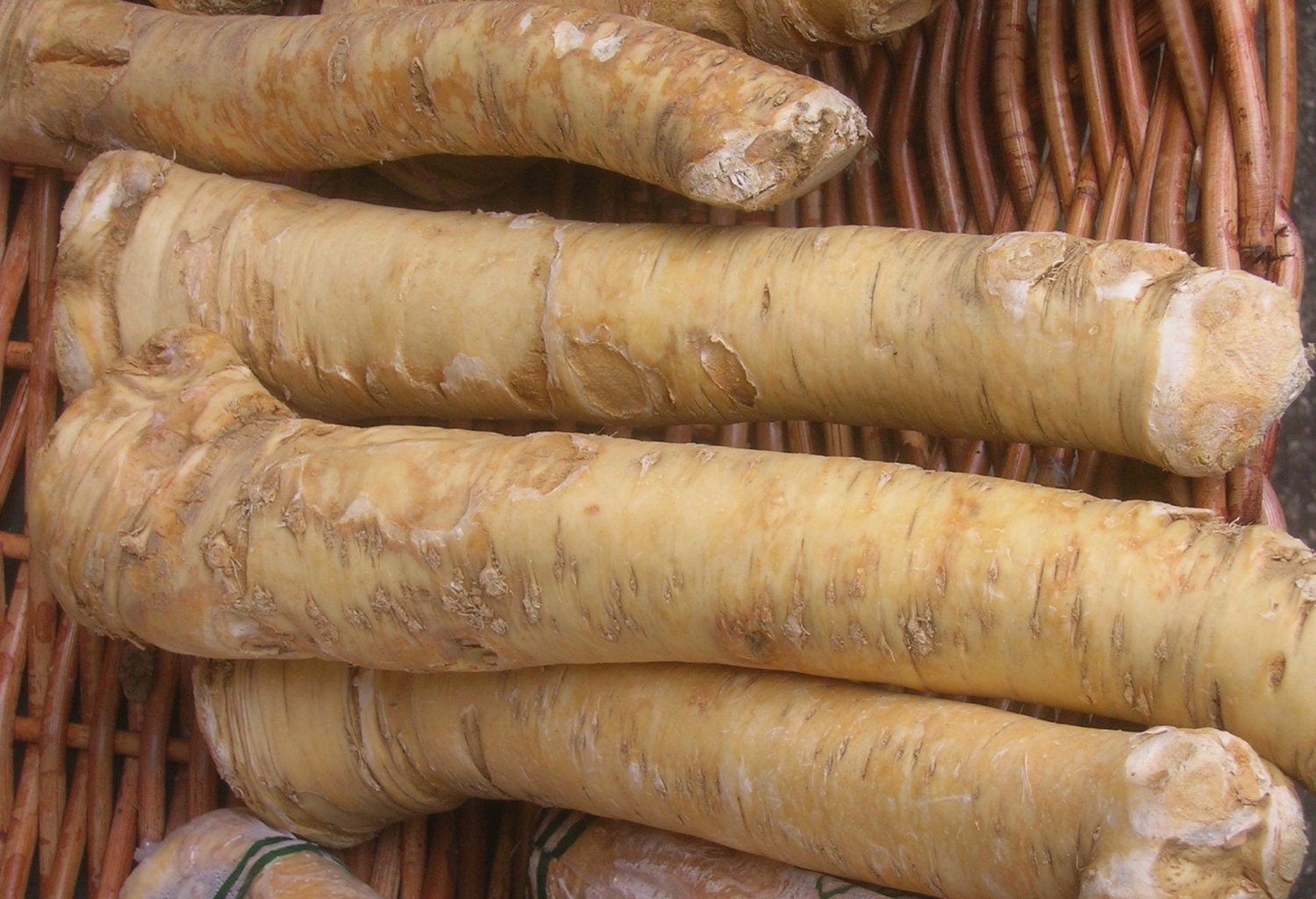 1 LB. Horseradish Roots Natural Organic Ready to Plant or Eat