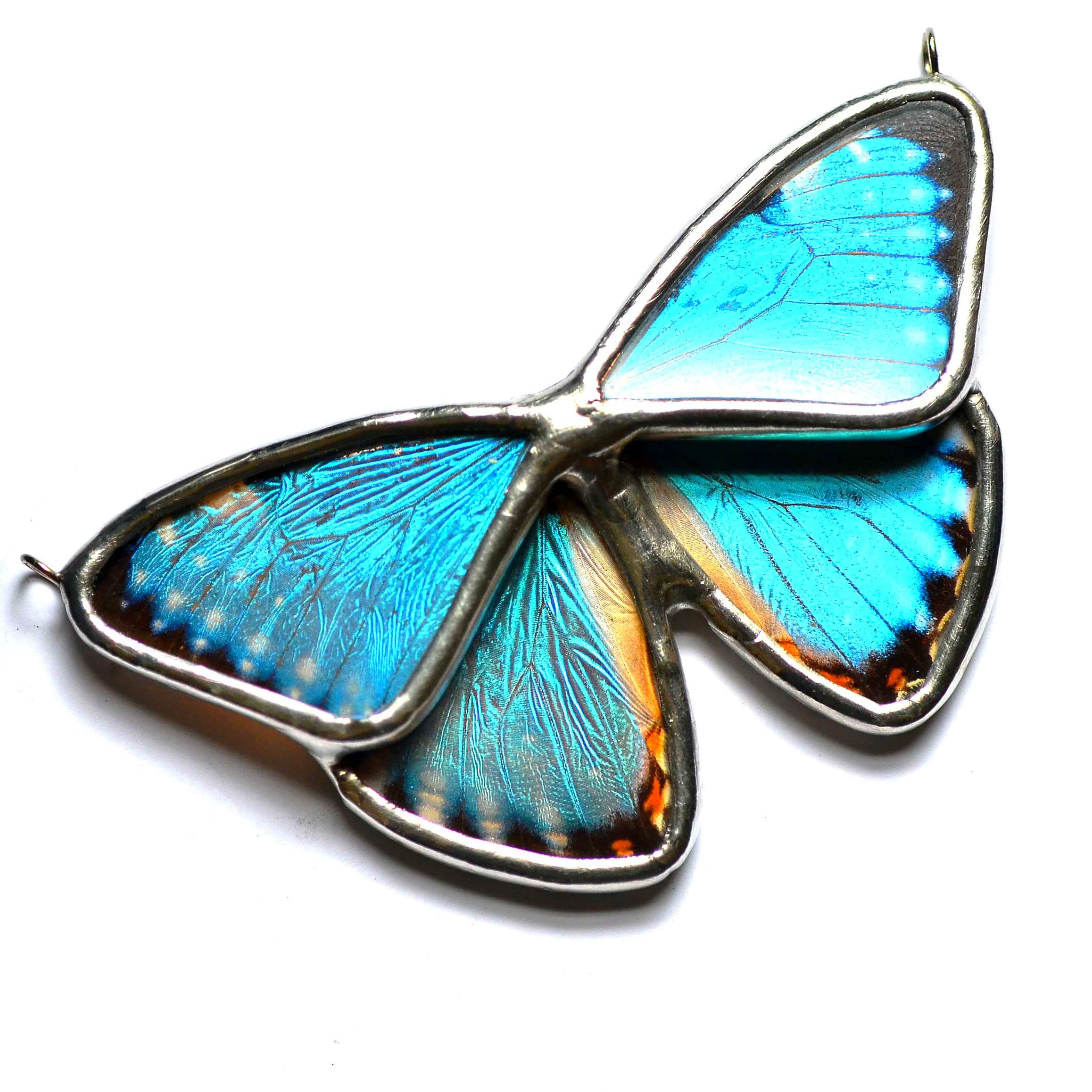 Real Butterfly Wing Jewelry & Sterling by HouseThatCrowBuilt