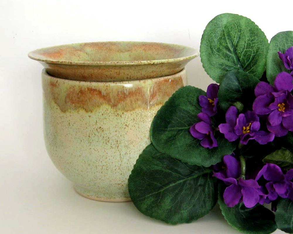  African  Violet  Pot  2 pc Self Watering Planter Ready to