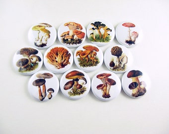 12 Mushroom Fridge Magnets, Mushroom Decor, Morel Mushroom, Fungus, Refrigerator Magnets, Pin Back Buttons, Wine Charms, Bottle Cap 1107