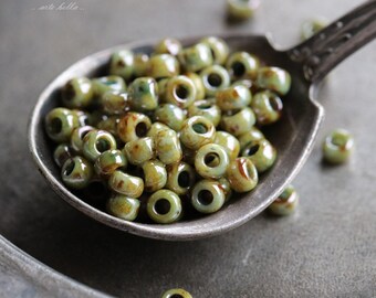 SAGE SEEDS No. 1 .. 100 Glossy Picasso Czech Glass Seed Beads Size 8 (4748-100)