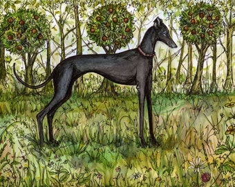 Dog Art Print -Italian Greyhound