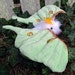 luna moth plush