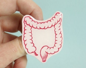 Large Intestine Brooch Anatomy Jewellery Anatomical Jewelry Medical Colon Brooch