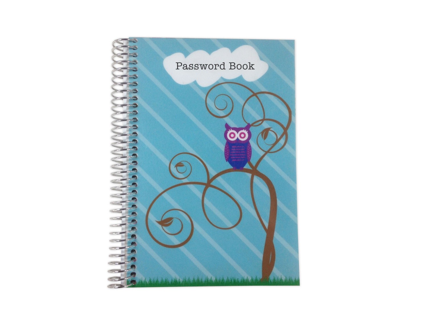 aeroadmin password book
