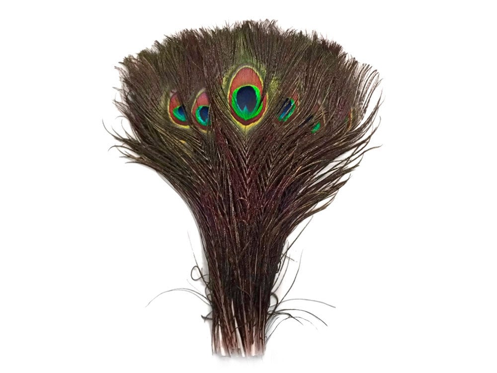 Wholesale Peacock Feathers 100 Pieces NATURAL Peacock Tail