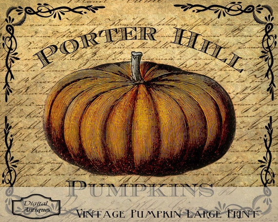 Vintage Pumpkin Print for Framing Printable Digital Download
