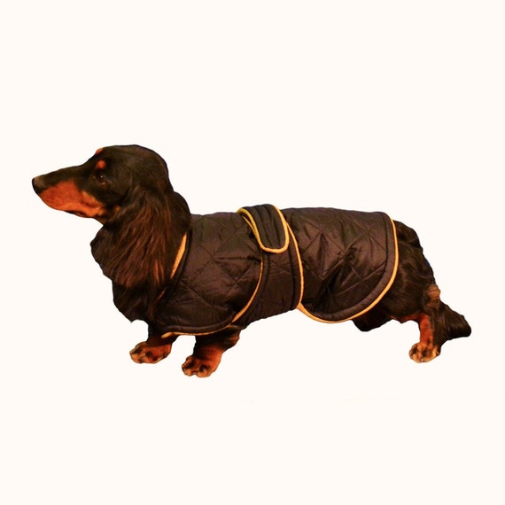 Miniature Dachshund Winter Coat Custom made with by madebyde