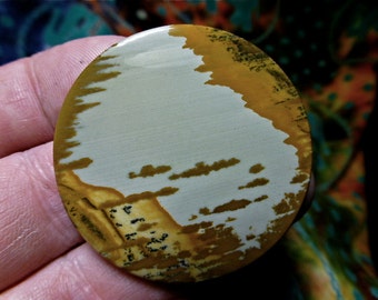 Original Owyhee picture jasper