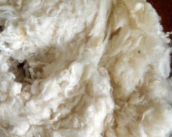 Wool Bolus Stuffing Eco-Friendly Wool All Natural 1 lbs.