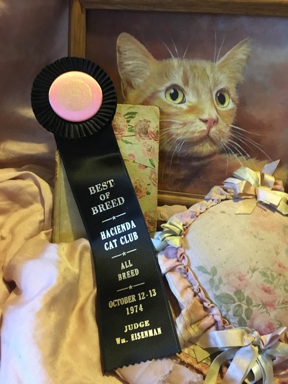 Vintage CFA CAT Show Satin Ribbon Rosette Award 2nd Best of