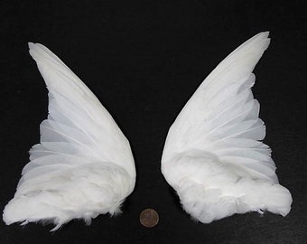 white dove feather – Etsy UK