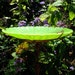 RESERVED for Athena, Stained Glass BIRD BATH, Chartreuse Green, copper art, 8.5" diameter, outdoors, fused glass, Suncatcher, Garden Decor