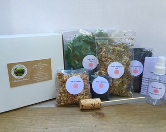Terrarium kit
