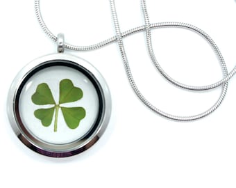 Real Four Leaf Clover Pendant Necklace - 4 leaf clover, lucky clover, shamrock necklace