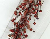 Items similar to Mini Pumpkin Pip Berry Garland - Fall Primitives ...