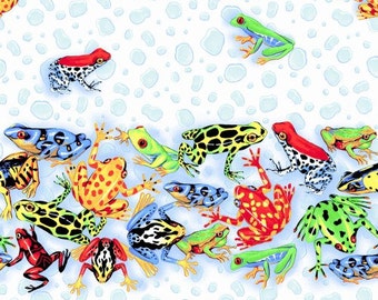 Leaping Frogs, Frog Fabric, Border Print, Tree Frogs, Boys Fabric, 01018A