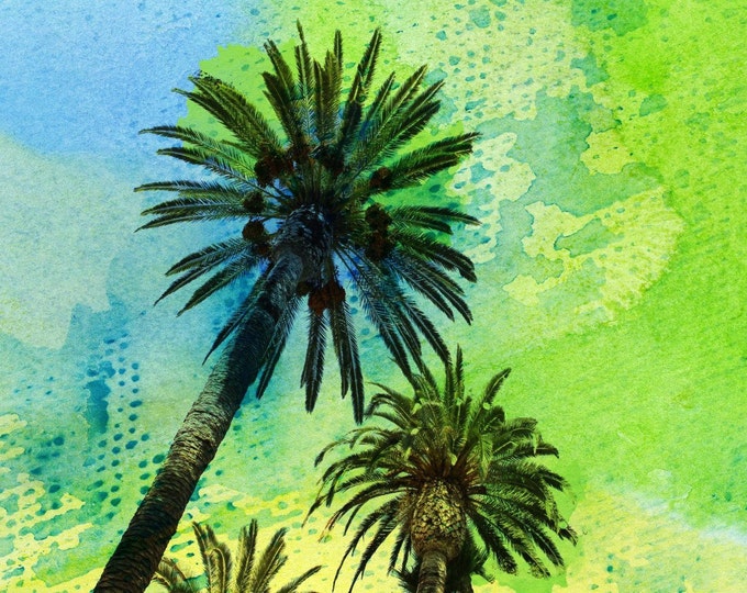 Two palm trees. Canvas Print by Irena Orlov 40x30"