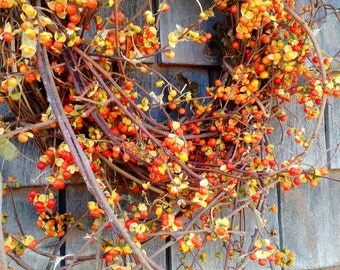 Fall Bittersweet Wreath