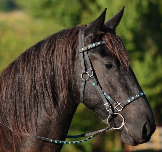 Mini Horse SizeHALTER BRIDLE & REINS Quick Change Style made