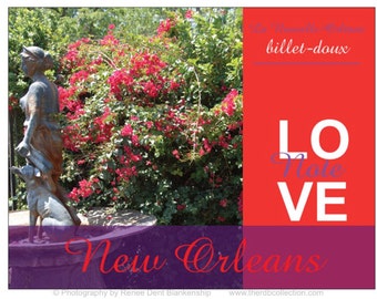 Love Notes - Garden Cards - Fountain and Bougainvillea - Billet Doux Stationery - New Orleans Notecards - Avec Amour - theRDBcollection