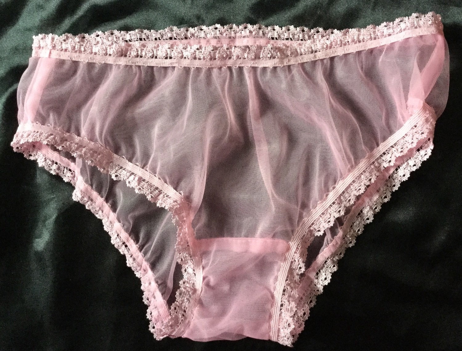 Sheer Nylon Panty 37