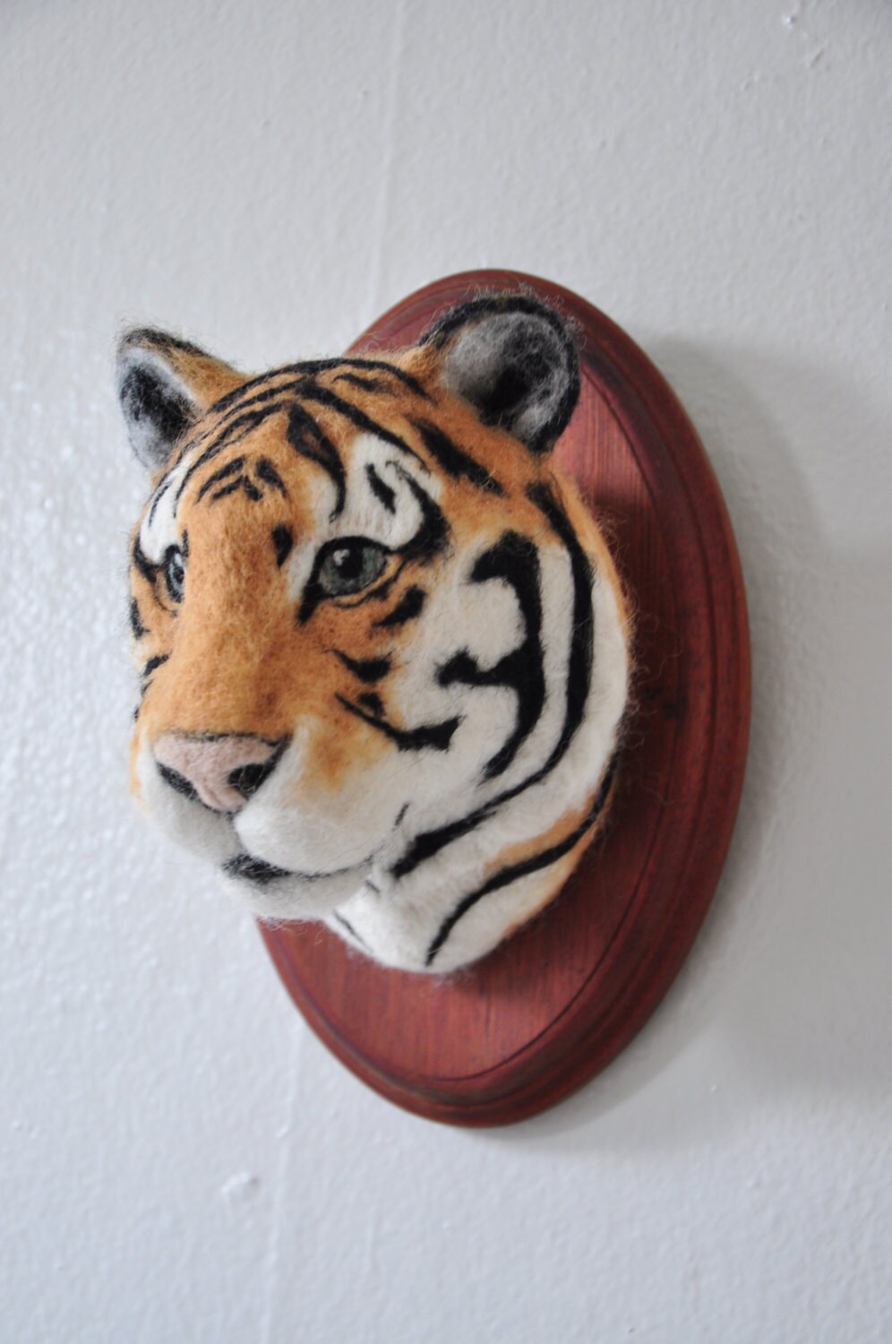 stuffed tiger taxidermy