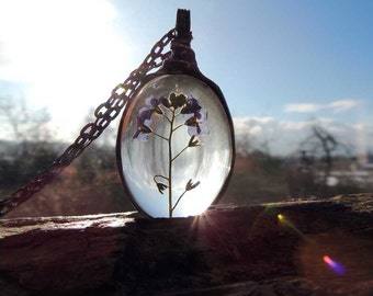 oval terrarium necklace, bridesmaids necklaces, forget me not necklace, Real Forget-me-not Flowers Necklace, dried forget me