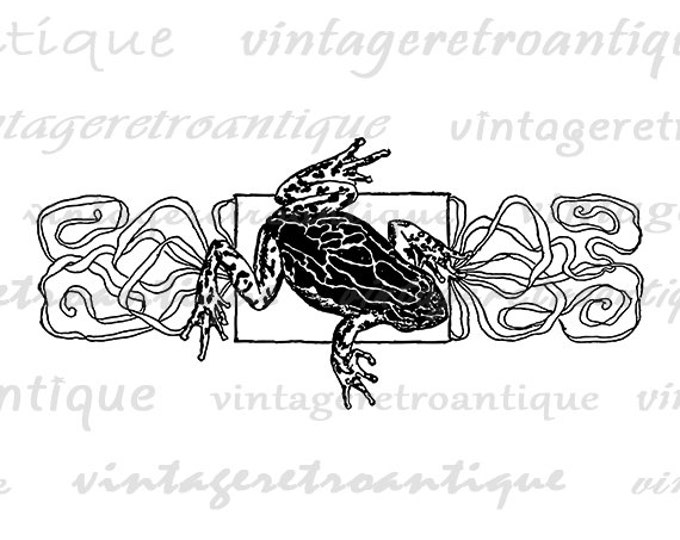 Digital Elegant Frog Image Graphic Download Printable Illustration Antique Clip Art for Transfers Printing etc HQ 300dpi No.4189