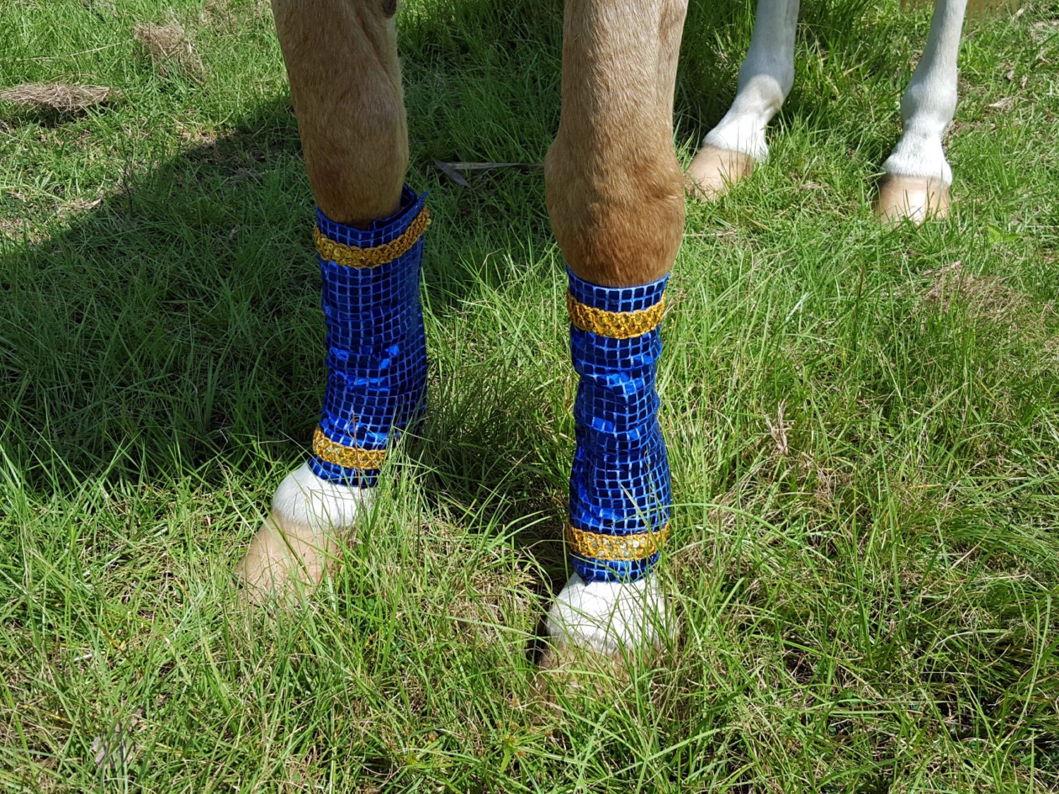Glitter Horse Leg Wraps Costumes for Horses Red by MyBuddyBling