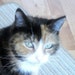 jennifercraig27557