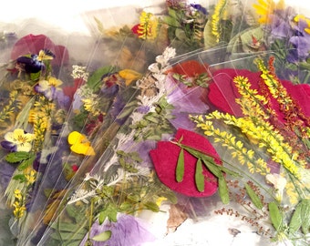 Pair of Real Pressed Flower Bookmarks Large Laminated Flower Bookmarks Set of Two Pressed Flower Bookmark Pair