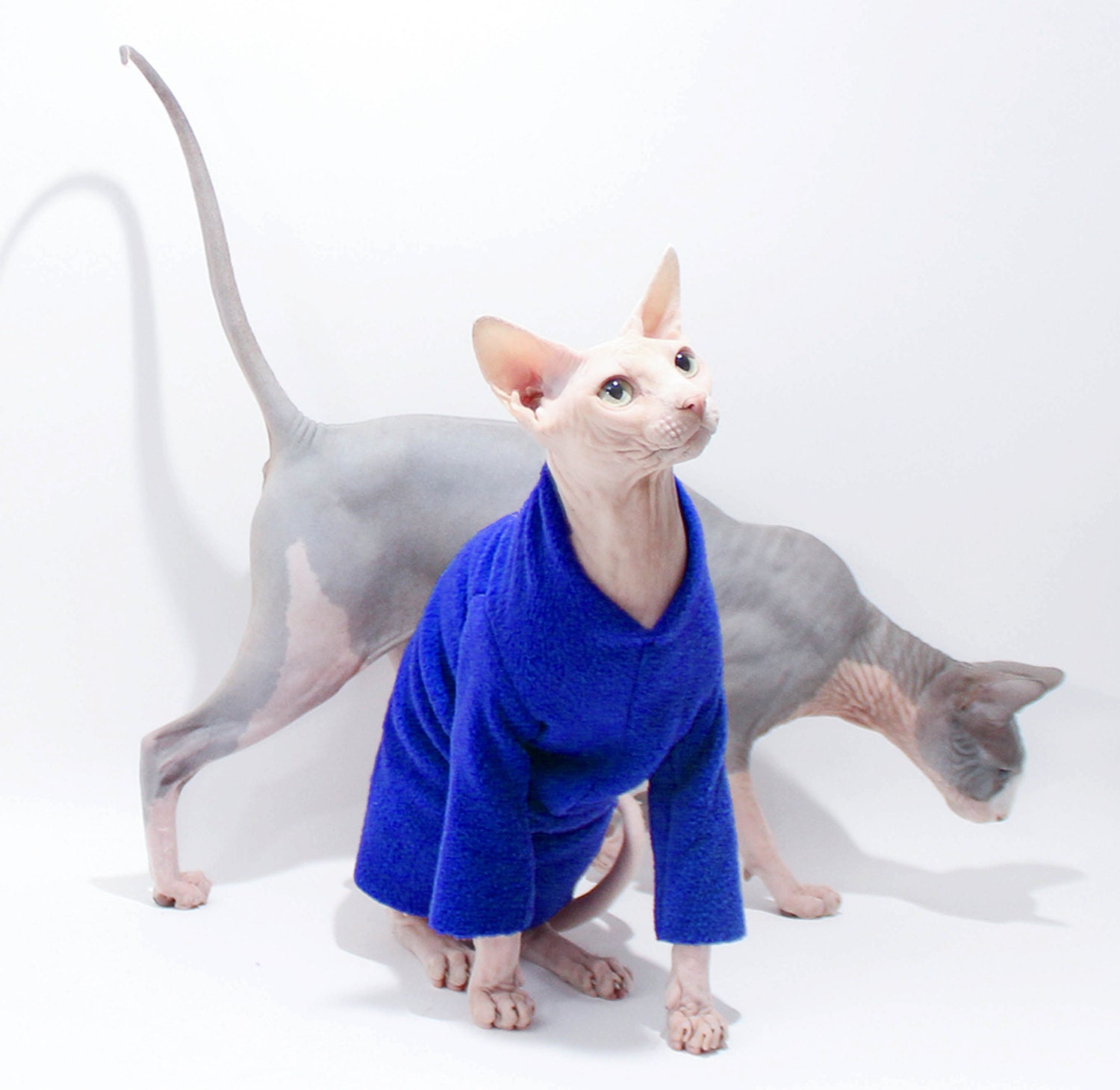 Sphynx Cat Clothes Long Sleeved Fleece cat jacket by SimplySphynx