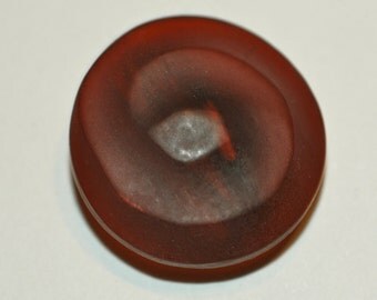 Amber Horn Spiral Button Set