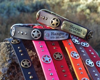 1" Waterproof Dog Collar, Texas Ranger Dog Collar for large dogs, Washable dog collar, personalized dog collar