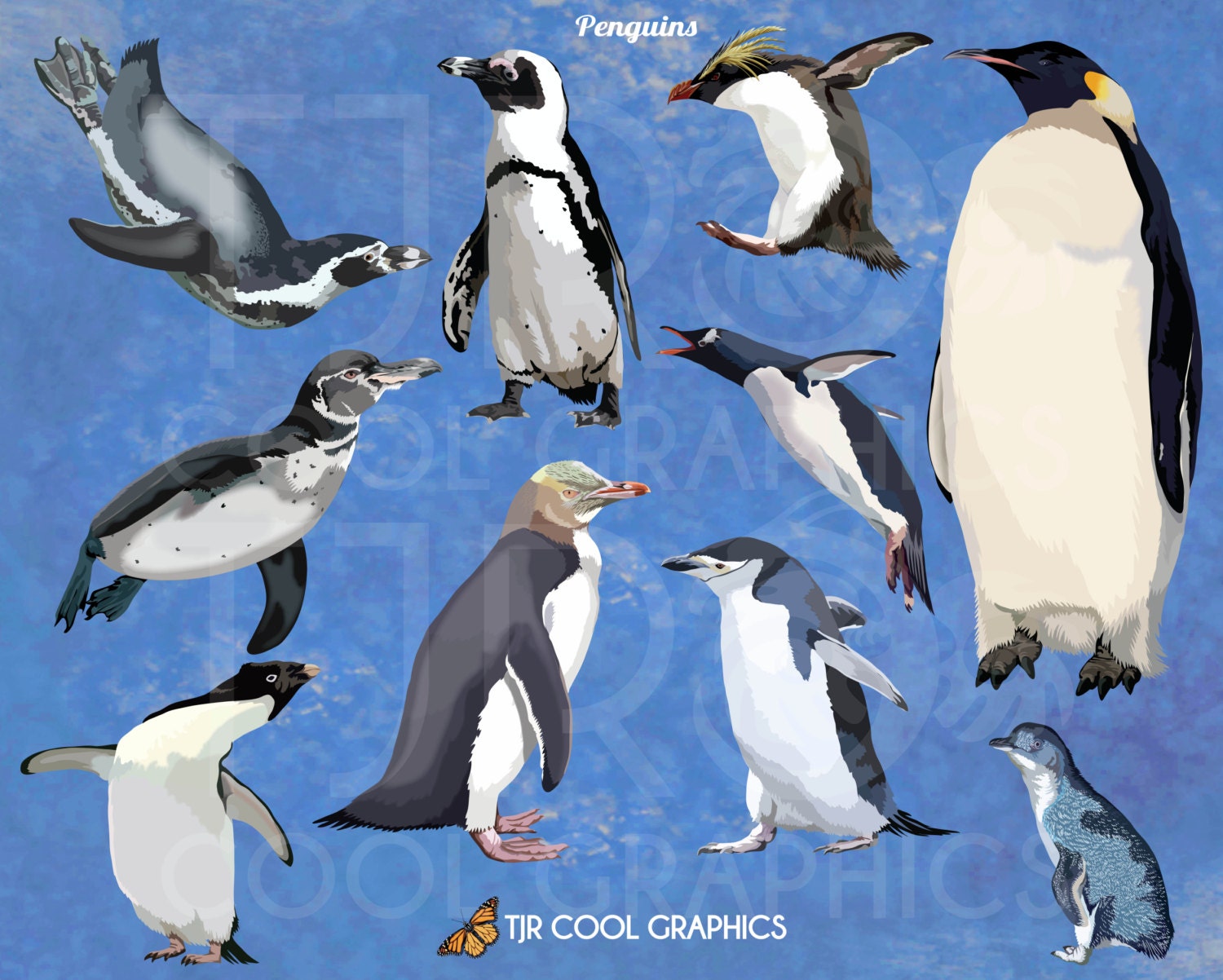 Penguins Digital Realistic Clip Art PNG Printable Emperor