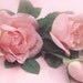 Jennifer Ml