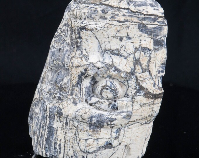 Dinosaur Fossil, Carved Bone for Home Decor and Reiki 333