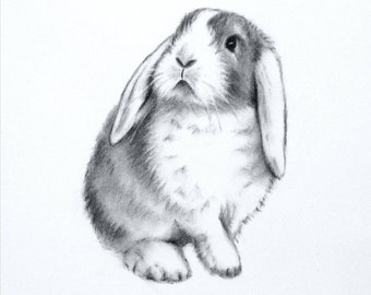 Rabbit Art, ORIGINAL Charcoal 5