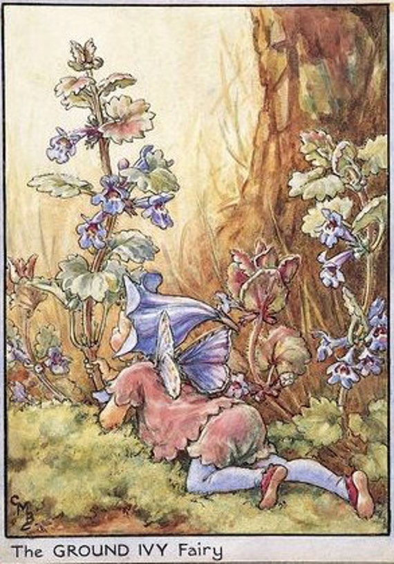 The Ground Ivy Fairy Counted cross stitch pattern in PDF