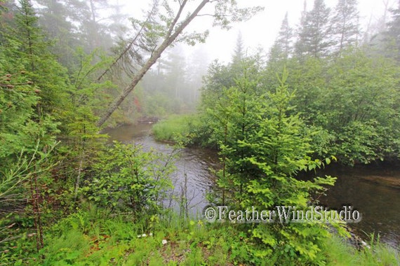 Foggy Morning Scenic River Photo Summer Landscape Wall Art