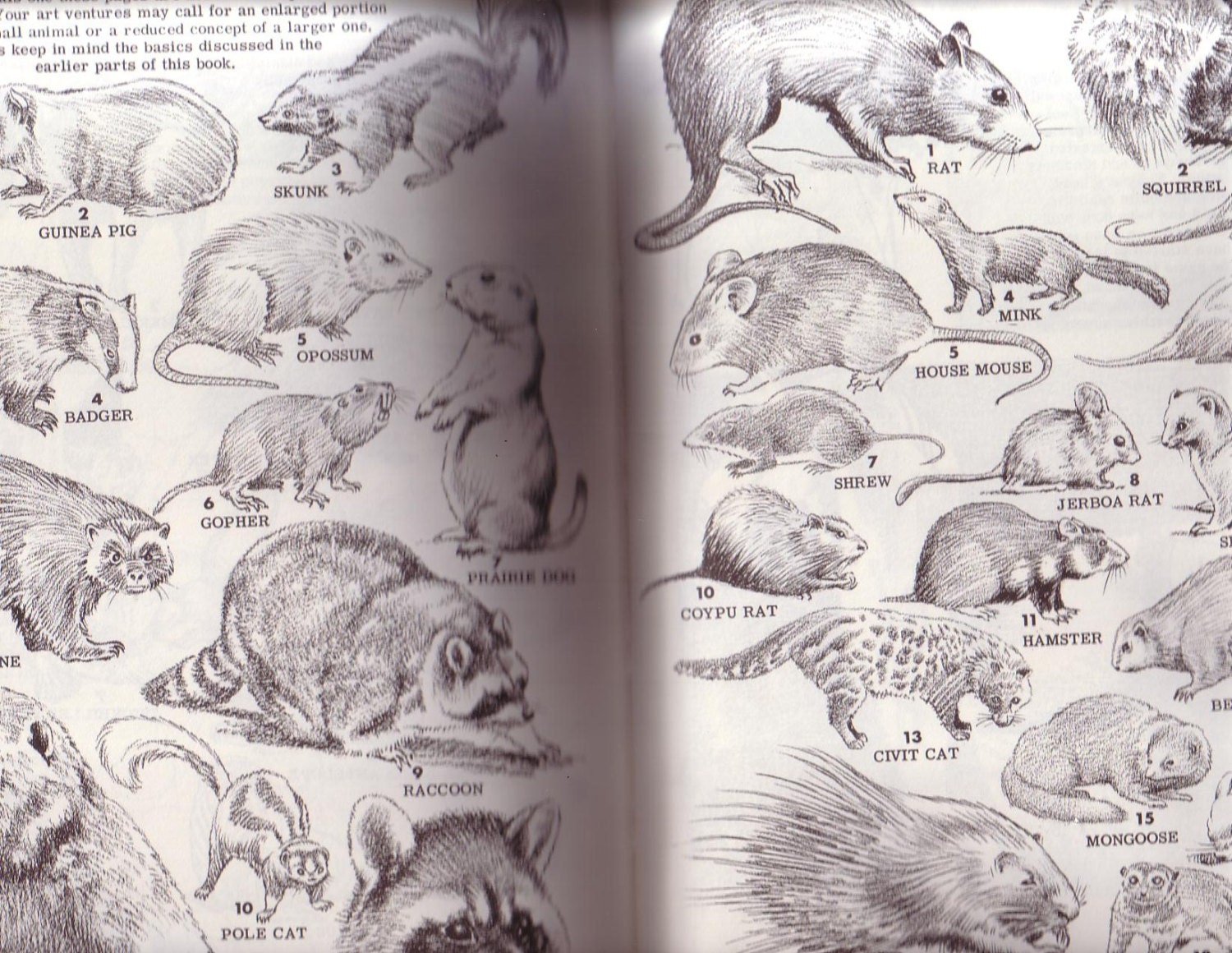 How To Draw Animals by Jack Hamm 8.5 x 11. 1976 Paperback In LikeNew