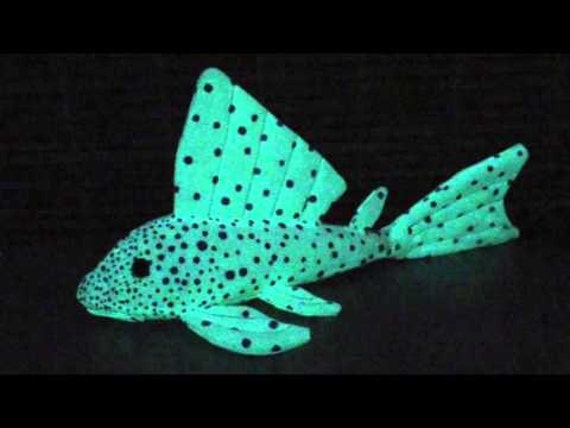 plush pleco