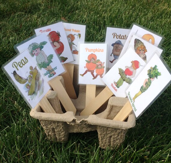 GARDEN MARKERS SET Pick Ten Plant Identification Stakes Fruits