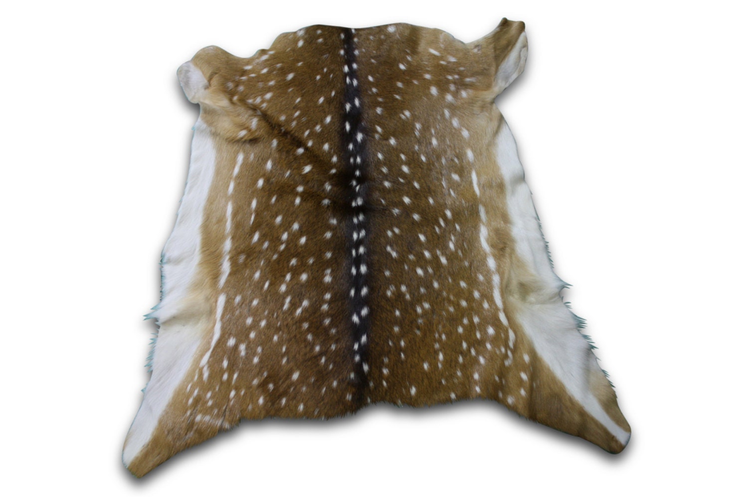 Skin 11 Rug Grade Axis deer Skin from Argentina by Cowhidesusa