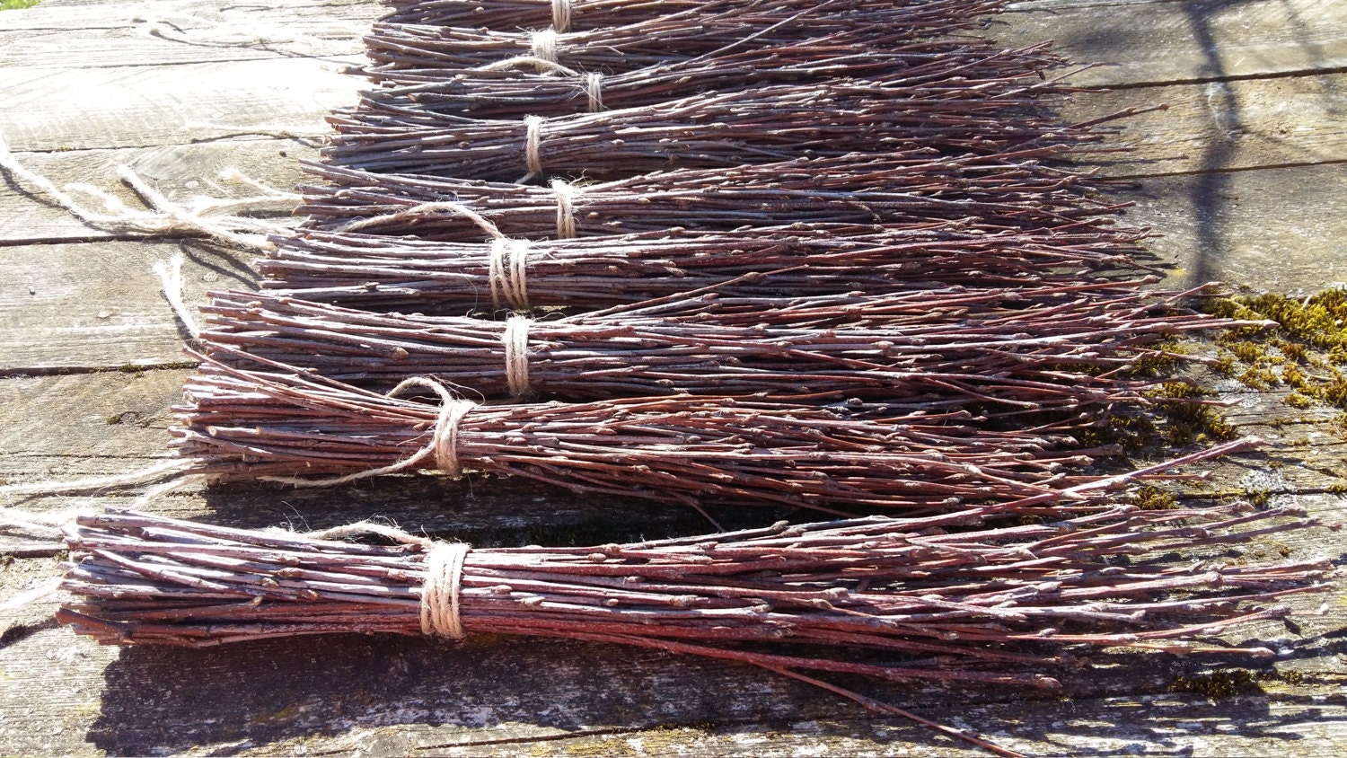 rustic natural decor birch twigs bundle branches by goodieshill