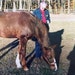 Angie Coots