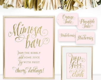 Mimosa Bar Package: Mimosa Bar Sign, Mimosa Bar Tags, Mimosa Bar Fruit Card, Mimosa Bar Labels, Champagne Bar Sign, Blush Pink & Gold - Ava